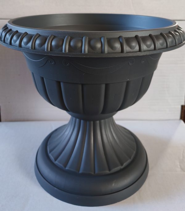 Gazon ROMA - Image 4