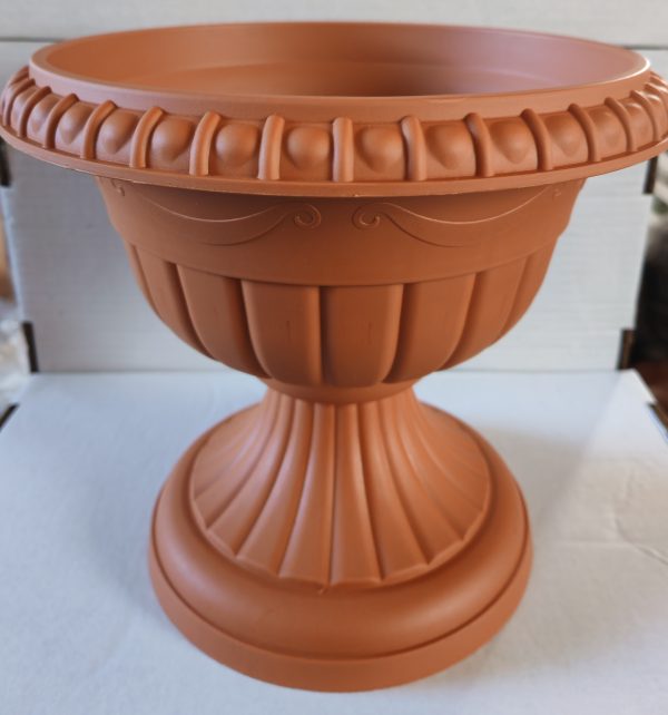 Gazon ROMA - Image 3