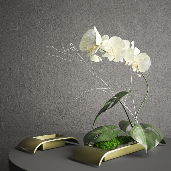 Ikebana