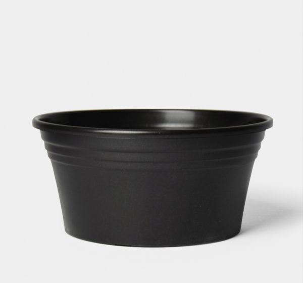 Miska IRYS - Image 2