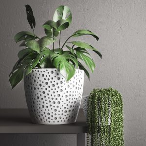 Obal VERO