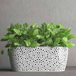 VERO Box