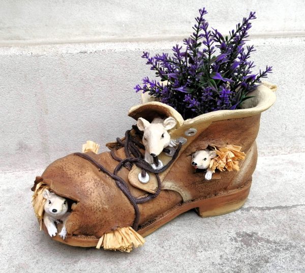 OBAL BOTA