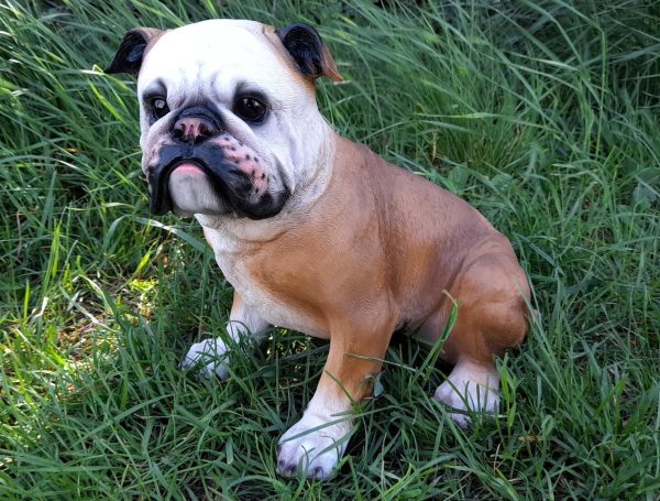 PES BULDOG