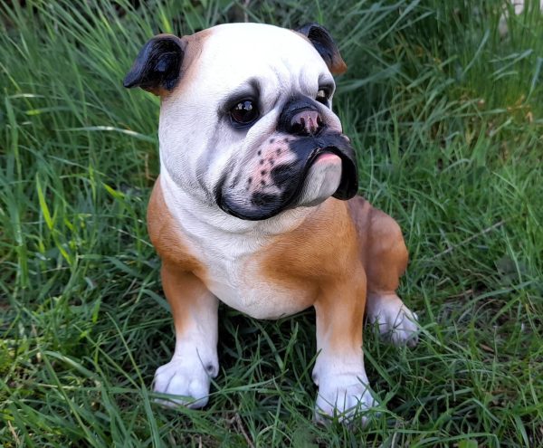 PES BULDOG - Image 2