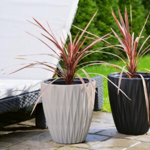 CARO Nízky 30cm , 40cm