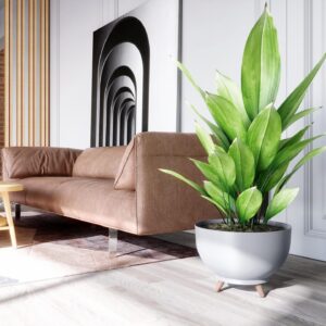 MISA SANITA 24cm 30cm